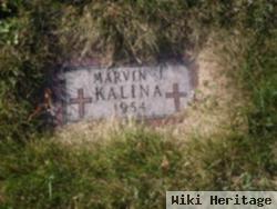 Marvin J Kalina