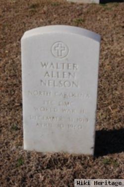 Walter Allen Nelson