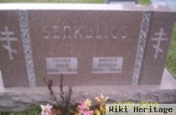 John Senkulics