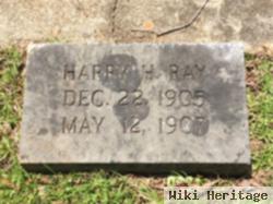 Harry H. Ray