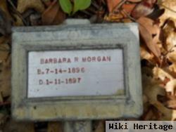 Barbara R Morgan
