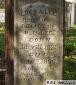 Lucy Ann Mims Lee