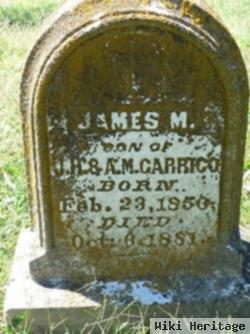 James M Carrico