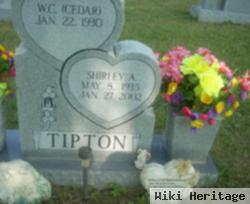 Shirley Ann Stone Tipton