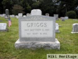 Matthew D Griggs