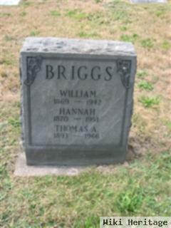 Thomas A Briggs