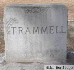 Frances Eliza Lavinia Goldsmith Trammell