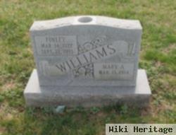 Mary A. Williams