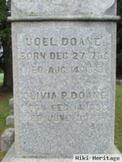 Joel Doane