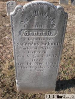 Hannah Ludy Miller Schantz