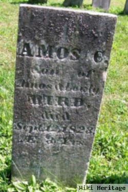 Amos C Bird