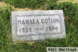 Mahala Cotton