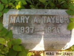 Mary Ann Taylor