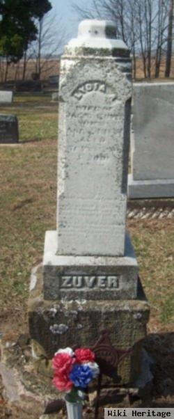 Lydia Ann Brown Zuver