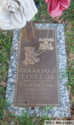 Geraldo J Tamez, Jr