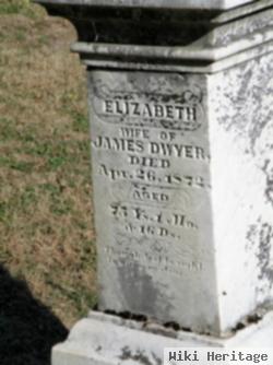 Elizabeth Applegate Dwyer