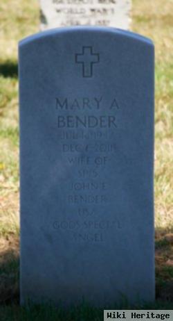 Mary Ann Hoff Bender