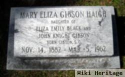 Mary Eliza Gibson Haigh