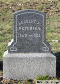 Herbert A Peterson