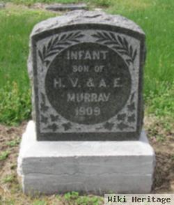 Infant Murray