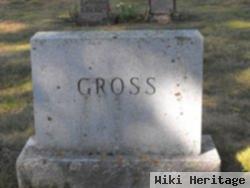 Philip H Gross