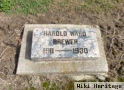 Harold W Brewer