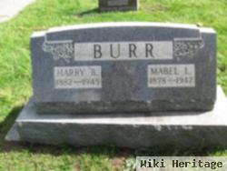 Harry Banks Burr