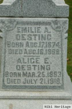 Alice E. Oesting