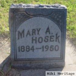 Mary A Hosek