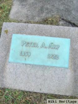 Peter A Arp