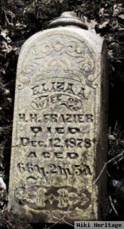 Eliza Ann Biles Frazier