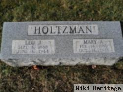 Mary A Holtzman