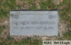 Mary Elizabeth Ann Johnson