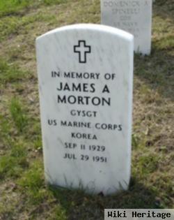 James A. Morton