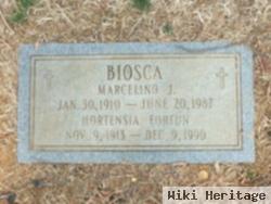 Marcelino J Biosca