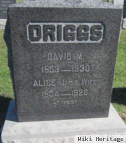 David M. Driggs