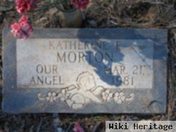 Katherine E Morton