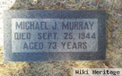 Michael J Murray