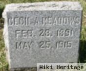 Cecil A Meadows