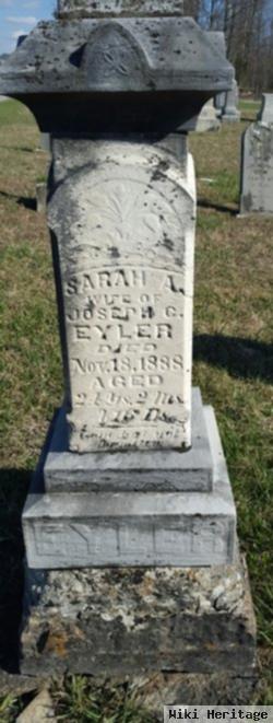 Sarah A Eyler