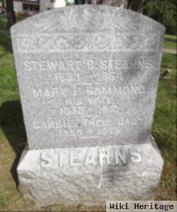 Stewart B Stearns