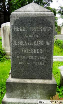 Henry Friesner