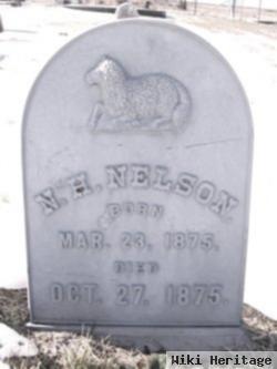 N H Nelson