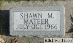 Shawn M Mateer