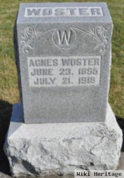 Agnes M. Woster