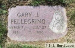 Gary J Pellegrino