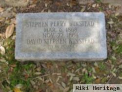 David Stephen Winstead