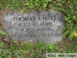 Thomas A. Hays