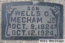 Wells Osmond Mecham, Jr