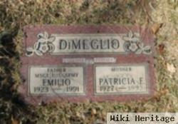 Patricia Elizabeth Onstott Dimeglio